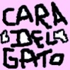 Picture for song 'O'Bones (full band)' by artist 'Cara del Gato'