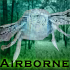 Picture for song 'Airborne' by artist 'Caradryan'
