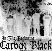Picture for song 'Fall' by artist 'Carbon Black'
