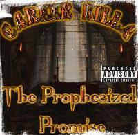 Picture for song 'Wannabe Emcee(ft Sketch,Optamus,DisastrousRymes)' by artist 'Career Killa'