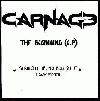 Picture for song 'Beg For Your Life' by artist 'Carnage666'
