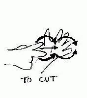 Picture for song 'Cut you' by artist 'Carpel Dio'