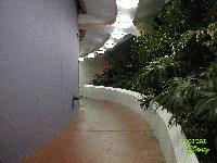 Picture for song 'Why not tomorrow' by artist 'Carpel Dio'