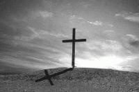 Picture for song 'Shadow of the Cross' by artist 'Carri Lynn'