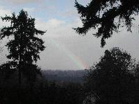 Picture for song 'Moving Skies' by artist 'Cass Anawaty'