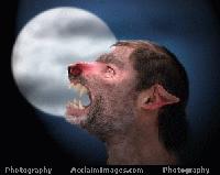 Picture for song 'werewolf (transformation)' by artist 'cayno'