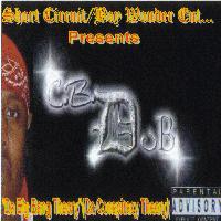 Picture for song 'Layed Back(feat:King David)' by artist 'CBDub'