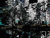 Picture for song 'Maria' by artist 'Cedric's So Sad'
