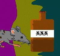 Picture for song 'When the Bottle Runs Dry' by artist 'Cedric's So Sad'