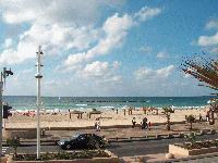 Picture for song 'A fantastic World' by artist 'celestine'