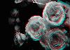 Picture for song '(Would a Rose Smell as Sweet....' by artist 'CENTRAL DENSE'