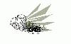 Picture for song 'CenTralZ - De Foking Bom' by artist 'CenTralZ'