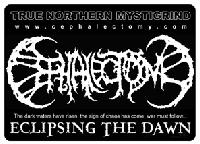 Picture for song 'Discerning thee Apocryphal Divinity' by artist 'Cephalectomy'