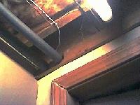 Picture for song 'Pristine Convenience' by artist 'Cerebral Paulsy'