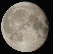 Picture for song 'Why' by artist 'Cerebral Paulsy B-Sides'