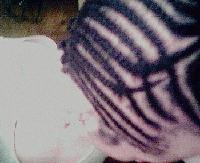 Picture for song '(New)Diversity-JzILLa' by artist 'C.F.2Kz'