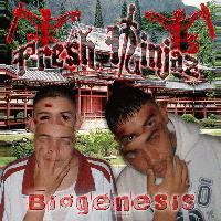 Picture for song '3. Fresh Ninjaz - Ninja Life (feat. Dizzle)' by artist 'CFE Halloween Sampler'