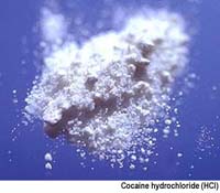 Picture for song 'Mode ft. Chains One - Drugs' by artist 'Chains One'