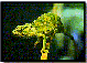 Picture for song '(TEST1)Shrugg a Shrugg shrugg' by artist 'chameleon Music Productions'