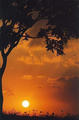 Picture for song 'Let us Praise the Name of Jesus' by artist 'Channels3'