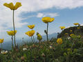 Picture for song 'You Healed Me (Psalm 30)' by artist 'Channels3'