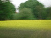 Picture for song 'Don't wait for Tomorrow' by artist 'Charlotte'