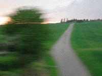 Picture for song 'Honey come home' by artist 'Charlotte'