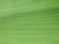 Picture for song 'My Hearts begun to sing' by artist 'Charlotte'