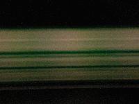 Picture for song 'Thunder in my Heart' by artist 'Charlotte'