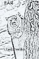 Picture for song 'Bear' by artist 'Chefchenko'