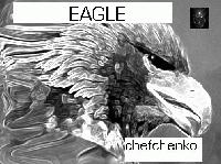 Picture for song 'EAGLE' by artist 'Chefchenko'