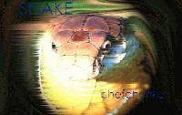 Picture for song 'Snake' by artist 'Chefchenko'