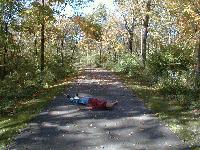 Picture for song 'Today' by artist 'CHELLINO'