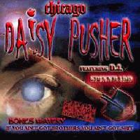 Picture for song 'Dust To Dust' by artist 'Chicago Bones'