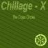 Picture for song 'Chillage-X : Tribal Visions' by artist 'ChillageX'