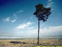 Picture for song 'Beauty in Life' by artist 'Chiquor'