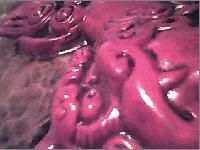 Picture for song 'acoustic instrumental' by artist 'chris crowell'