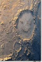 Picture for song 'COCOAFIED BRAIN WASH' by artist 'CHRIS HATLEY'