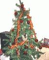 Picture for song 'Feline Festive Fun' by artist 'Christmas Muse'