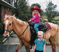 Picture for song 'Beer for my Horses (featuring Billy Bob Bradley)' by artist 'Christopher Michael Bradley'