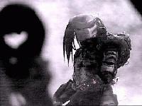 Picture for song 'Ain't Saving Ya Privates Ryan' by artist 'Chris Walks'