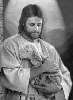 Picture for song 'Couldn't Turn A Profit Putting Jesus On A Carousel' by artist 'Chris Walks'