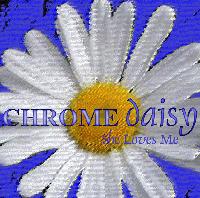 Picture for song 'So Completely' by artist 'Chrome Daisy'