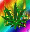 Picture for song 'No hesitation' by artist 'Chronic Colaburation'