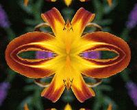 Picture for song 'Seventy Days' by artist 'Chuck Carter'