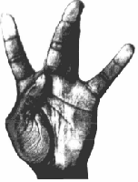 Picture for song 'left side live' by artist 'chucke'