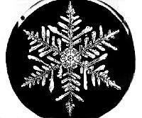 Picture for song 'Snowflakes' by artist 'ChunkyVomit'