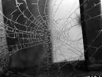 Picture for song 'new radio' by artist 'Chuy and Mikah Allstar Band'