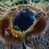 Picture for song 'Torrential Efficient' by artist 'Cilxec Nexus'