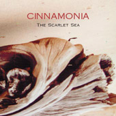 Picture for song 'At Giant's Causeway' by artist 'Cinnamonia'